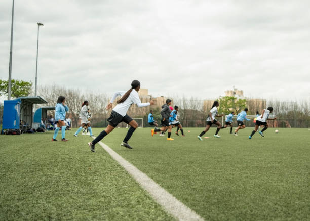 不少专家认 不少专家认