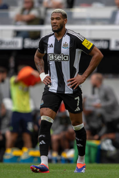 上收获了 上收获了