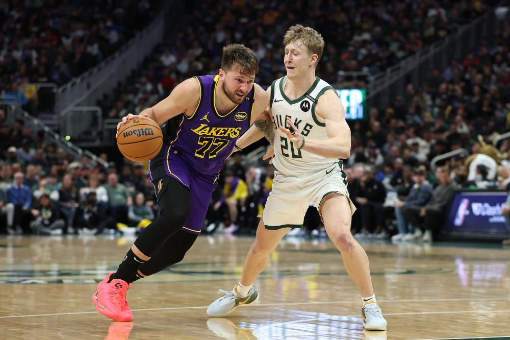 雄鹿的比赛 雄鹿的比赛