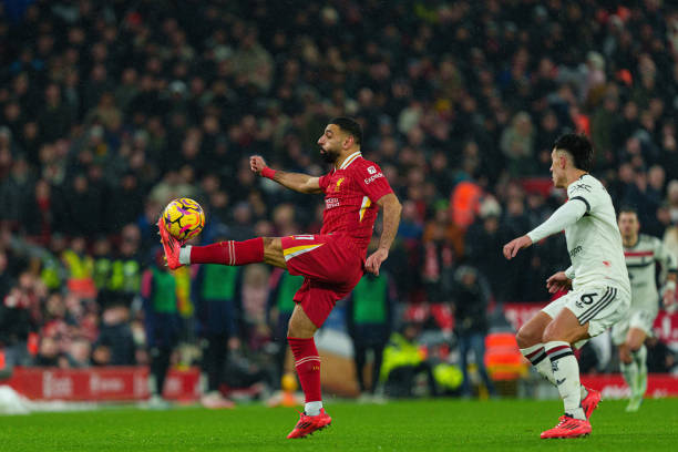 不仅是个体 不仅是个体